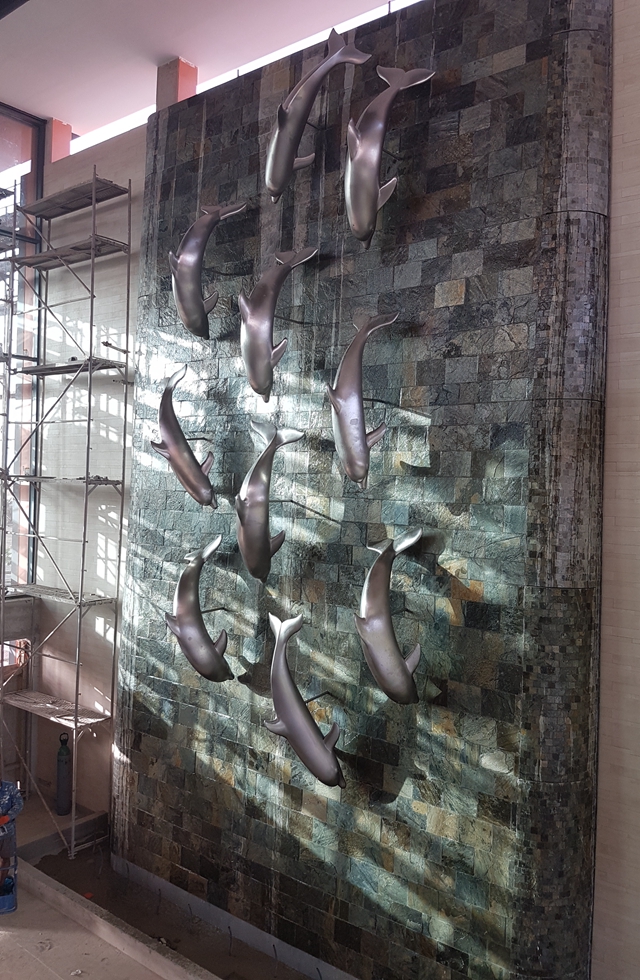 Dolphin